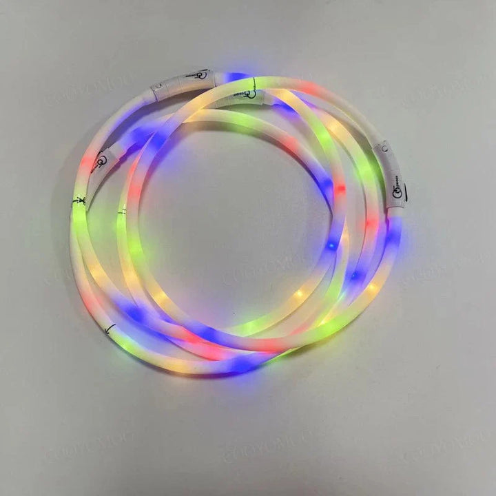 3 Modus Hund Luminøs Lading Krage Led Usb Katt Silikon Fargerik Krage Avtakbar Nattglød Kjæledyr Tapforebygging Hund Tilbehør | Skanto