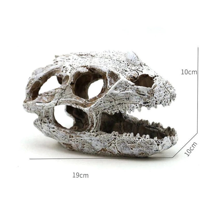 Dyr Hodeskalle Fiskebowle Fossil Dinosaur Smykker Akvarium Neshorn Bein Dekorasjon Fiskeskål Krokodille Manet Karpe Skilpadde | Skanto