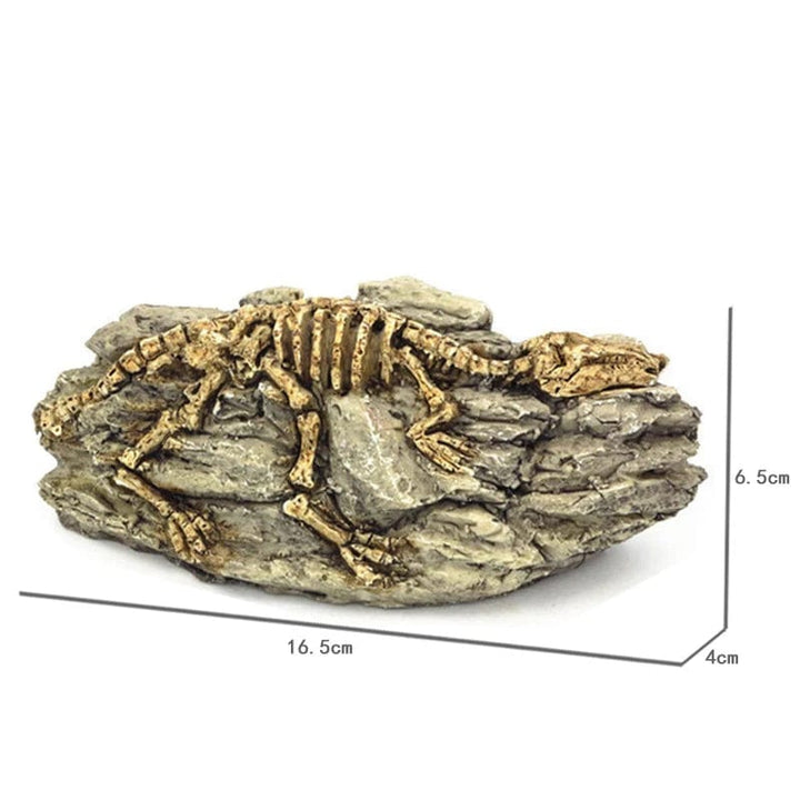 Dyr Hodeskalle Fiskebowle Fossil Dinosaur Smykker Akvarium Neshorn Bein Dekorasjon Fiskeskål Krokodille Manet Karpe Skilpadde | Skanto