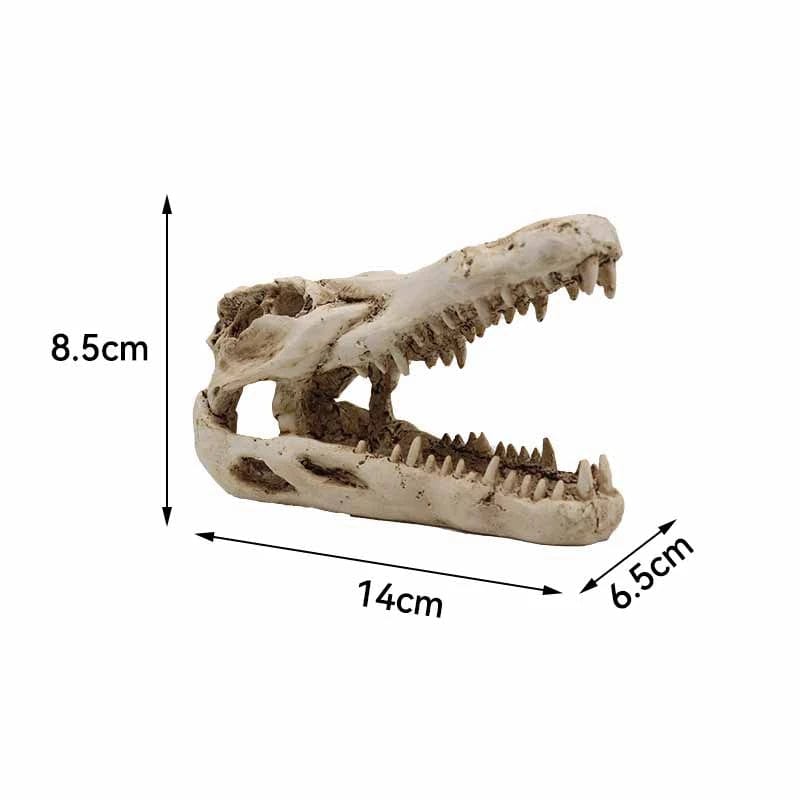 Dyr Hodeskalle Fiskebowle Fossil Dinosaur Smykker Akvarium Neshorn Bein Dekorasjon Fiskeskål Krokodille Manet Karpe Skilpadde | Skanto