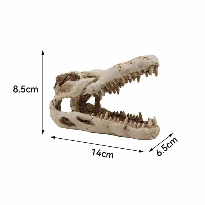 Dyr Hodeskalle Fiskebowle Fossil Dinosaur Smykker Akvarium Neshorn Bein Dekorasjon Fiskeskål Krokodille Manet Karpe Skilpadde | Skanto