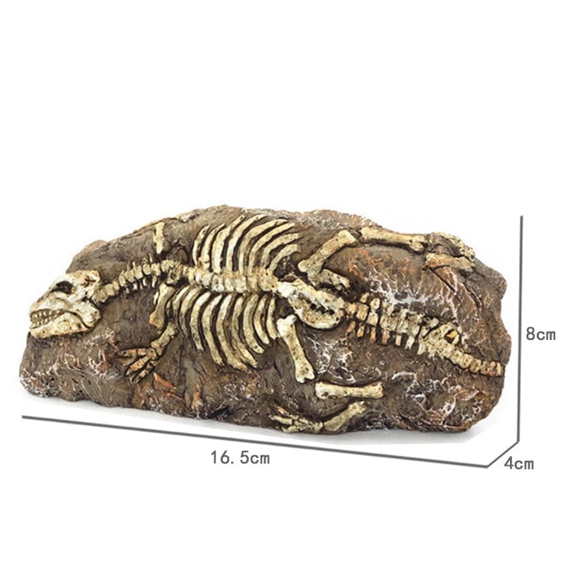 Dyr Hodeskalle Fiskebowle Fossil Dinosaur Smykker Akvarium Neshorn Bein Dekorasjon Fiskeskål Krokodille Manet Karpe Skilpadde | Skanto