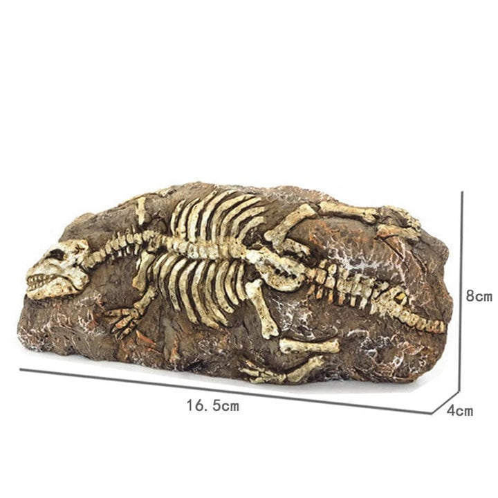 Dyr Hodeskalle Fiskebowle Fossil Dinosaur Smykker Akvarium Neshorn Bein Dekorasjon Fiskeskål Krokodille Manet Karpe Skilpadde | Skanto