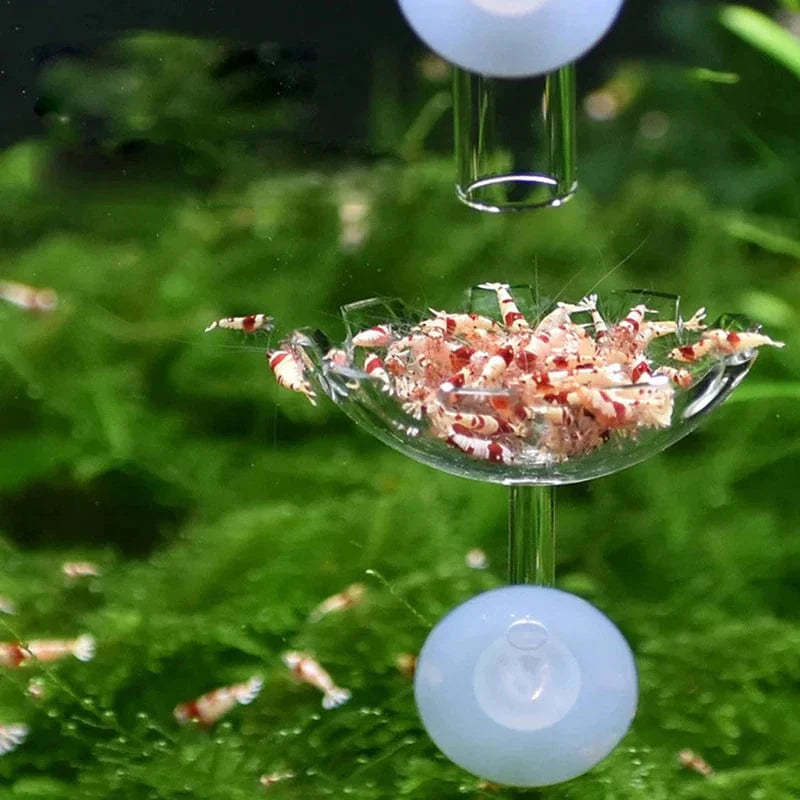 Reke Fôring Skål Reke Fôr Skål Akvarium Fiskeballon Reke Mat Skål Fôring Klar Glass Fôring Tube Skål Suge Tilbehør | Skanto