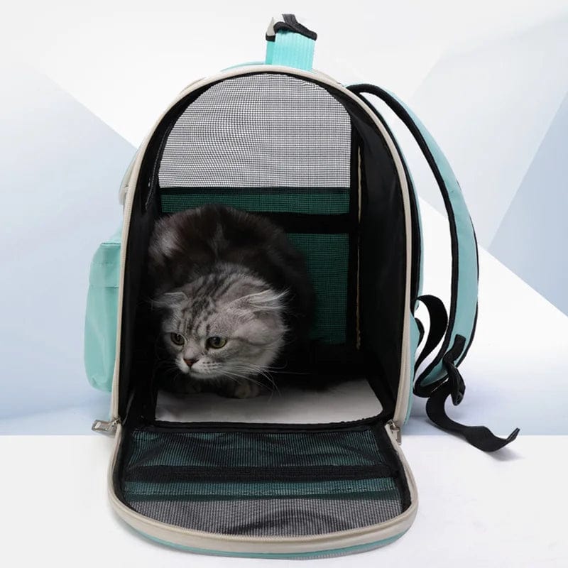 Kattetransportposer Vindbestandig Utendørs Reiseryggsekk for Katt Små Hunder Transporteringsveske Katt Ryggsekk Transportører Med Pute | Skanto
