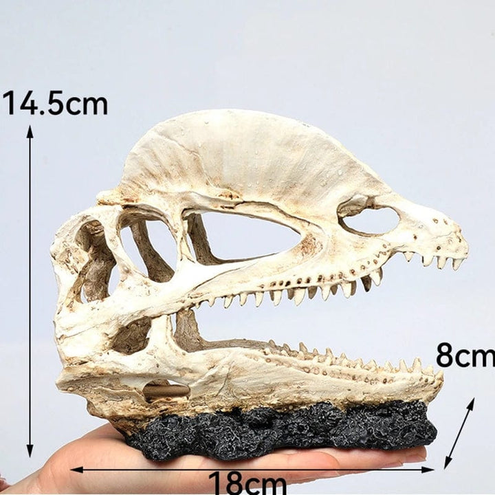Dyr Hodeskalle Fiskebowle Fossil Dinosaur Smykker Akvarium Neshorn Bein Dekorasjon Fiskeskål Krokodille Manet Karpe Skilpadde | Skanto