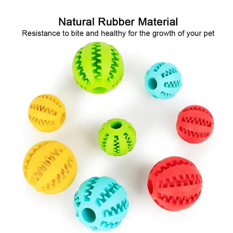 Hundematballer Katt hund leketøy Interaktive gummiballer for små store hunder Valp katt tyggleketøy Tannrens for kjæledyr | Skanto