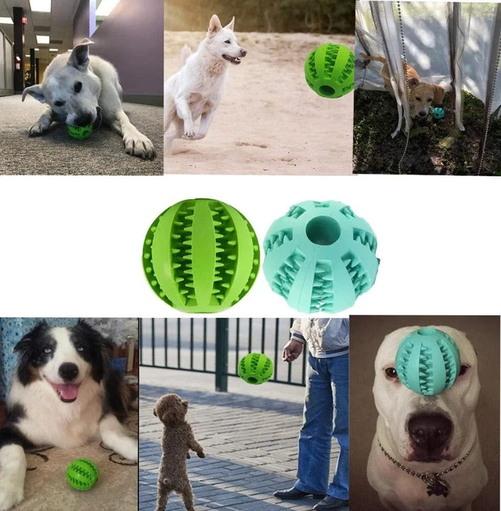 Hundematballer Katt hund leketøy Interaktive gummiballer for små store hunder Valp katt tyggleketøy Tannrens for kjæledyr | Skanto