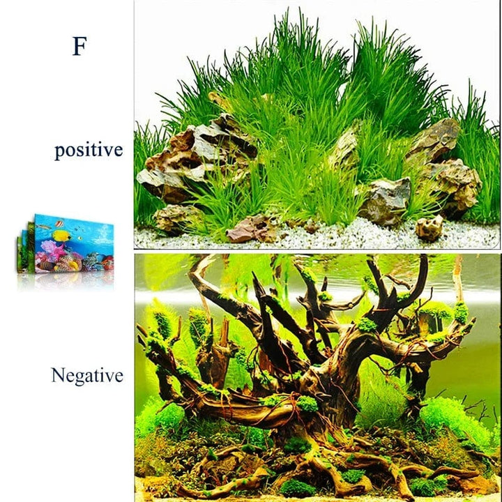 3d Marine Bakgrunn for Akvarium Dekorasjoner Klistremerker & Plakat Varer Dekorasjon Fisketanker og Akvarier Tilbehør Aquascape | Skanto