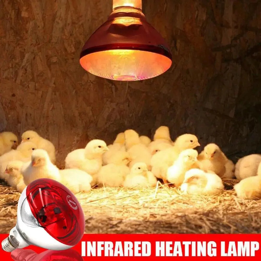 Farm Thermal Light Preservation Reptile Habitat Lights Kylling Infrarød Varmer Lys Infrarød Lampe Klekke Varme Kylling Lampe | Skanto