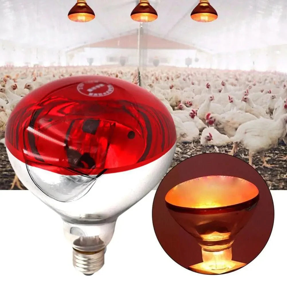 Farm Thermal Light Preservation Reptile Habitat Lights Kylling Infrarød Varmer Lys Infrarød Lampe Klekke Varme Kylling Lampe | Skanto