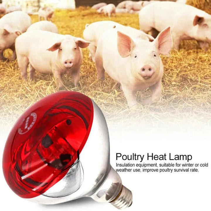 Farm Thermal Light Preservation Reptile Habitat Lights Kylling Infrarød Varmer Lys Infrarød Lampe Klekke Varme Kylling Lampe | Skanto