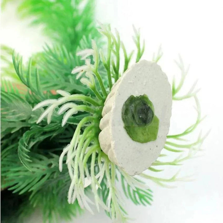 Akvarium simuleringsplante akvatiske planter | Skanto