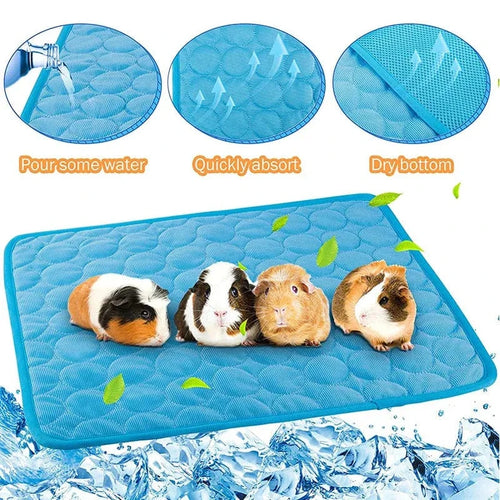 Guinea Pig Bur Mats Sommer Liten Dyr Kjølematte Pustende Hamster Tiss Pad for Kaninbur Chinchilla Pigger Kæledyr Artikel | Skanto