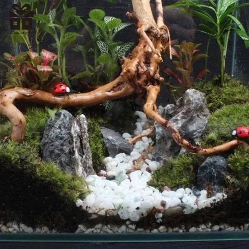 Norvo | Naturlig trestamme drivved akvarium fisk tank reptil sylinder røtter plante tre dekorasjon ornament tilbehør akvarium planter