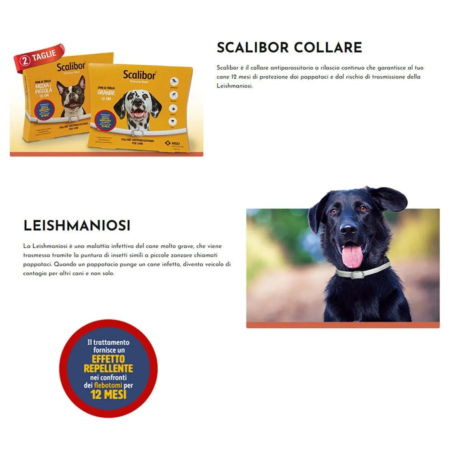 Norvo | Ny 48/65CM kjæledyr anti-lopper flått antiparasitt kattehalsbånd hundebeskyttelse justerbare halsbånd for valp katt store hunder tilbehør