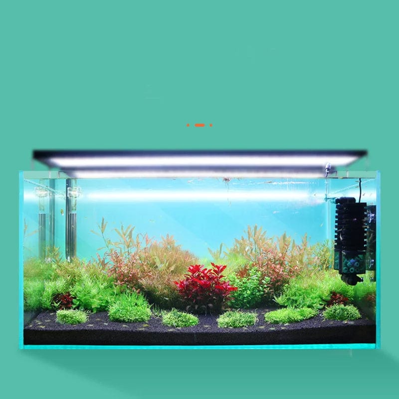 Qanvee Elektrisk Vann Svamp USB Renseteknologi Biologisk Oksygen Fishtank Filter Skum Akvarium Tilbehør Filtro Utstyr Varer | Skanto