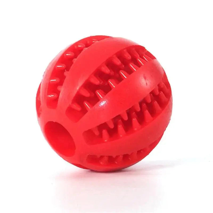 Hundematballer Katt hund leketøy Interaktive gummiballer for små store hunder Valp katt tyggleketøy Tannrens for kjæledyr | Skanto