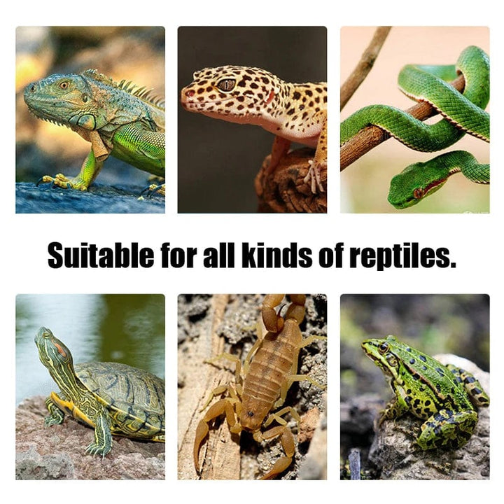 Terrarium Reptiler øgle Varmepute Klatre Kjæledyr Oppvarming Varmeputer Intelligent Justerbar Temperaturregulator Matter 110v/220v | Skanto