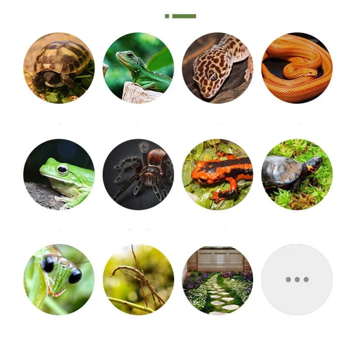 Tykk Dobbel Lag Reptil Dyr Mose Teppet Pute Material Frosk Skilpadde Slange Gecko Matter Fuktighetsgivende Falsk Gress | Skanto