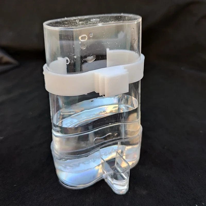 Fugl Vann Dispenser Fugl mat Fôrer Automatisk Parakitt Fugl Vanner Mat Fôrer Dispenser for Papegøye Bur Tilbehør | Skanto