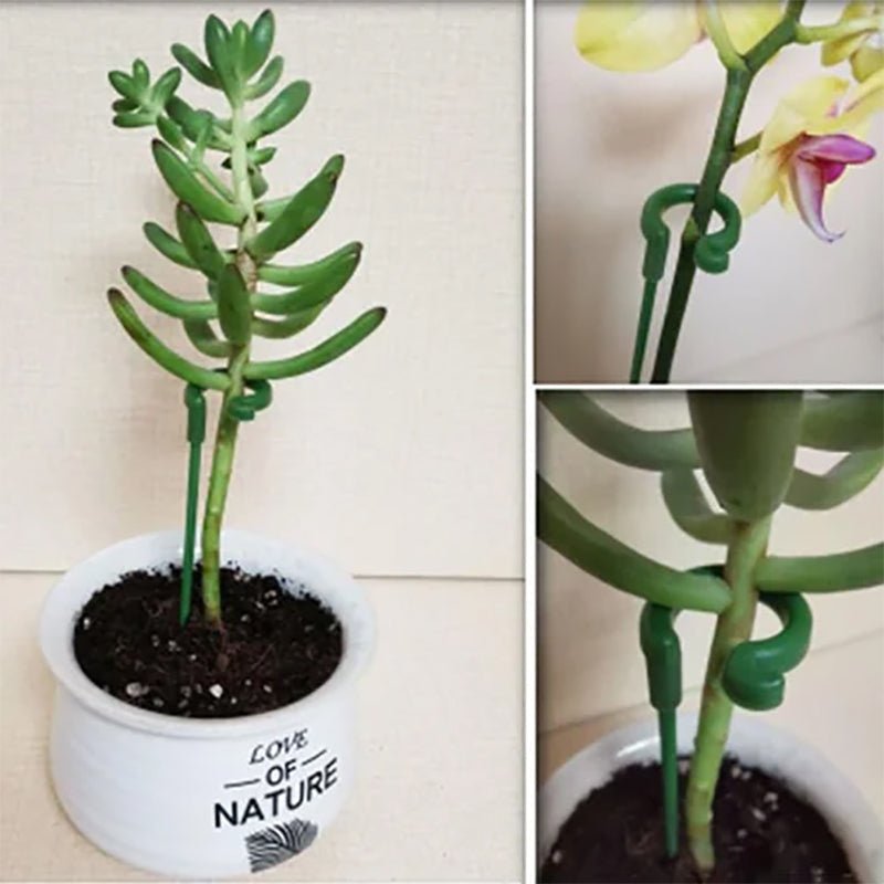 Skanto | Plante Støtte Stang