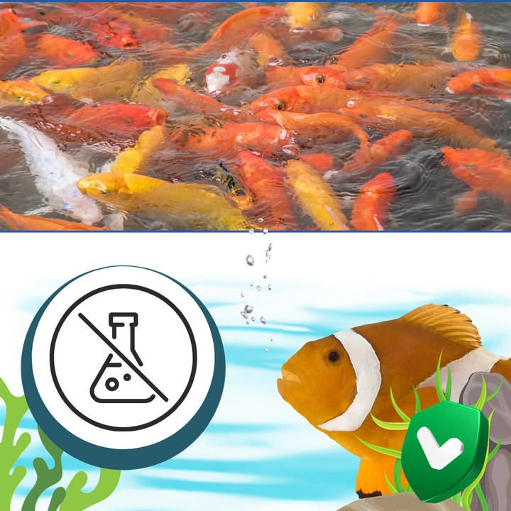 Forebyggende algedrepende middel for akvarier