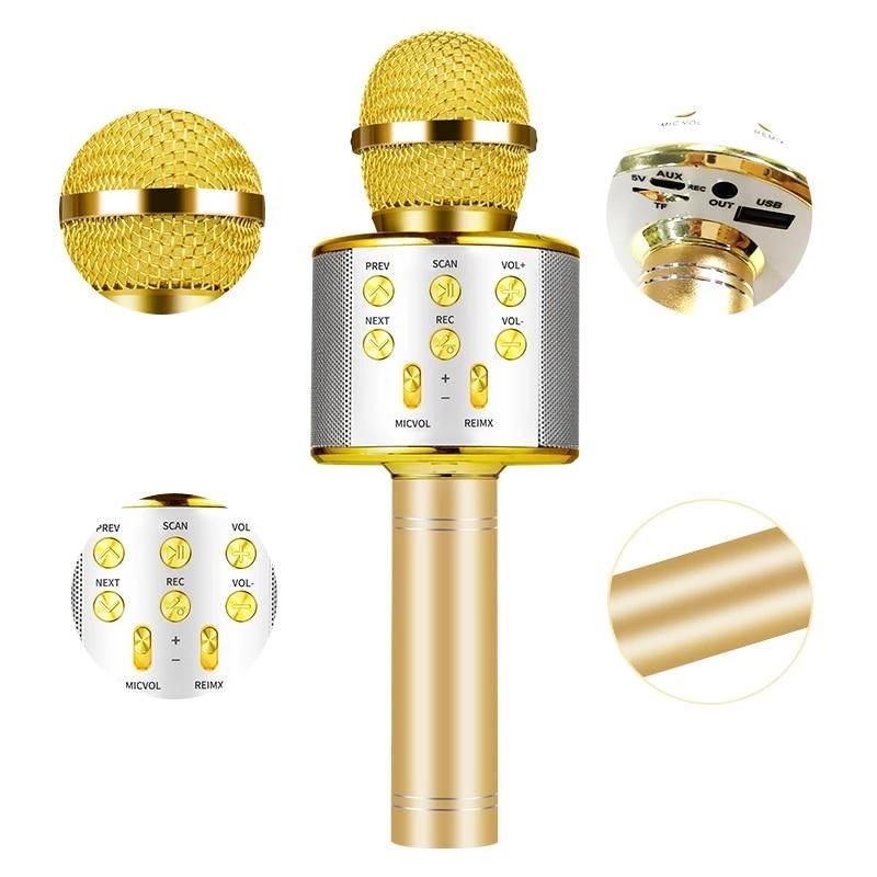 Nolae - Bluetooth Karaoke Mikrofon | Skanto
