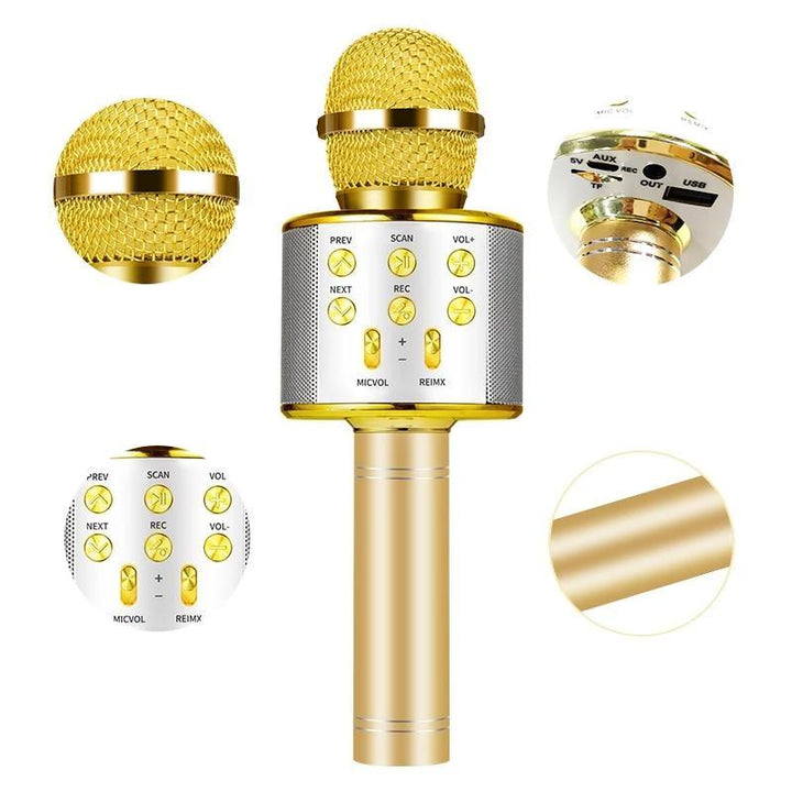 Nolae - Bluetooth Karaoke Mikrofon | Skanto