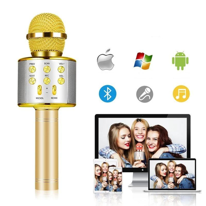 Nolae - Bluetooth Karaoke Mikrofon | Skanto