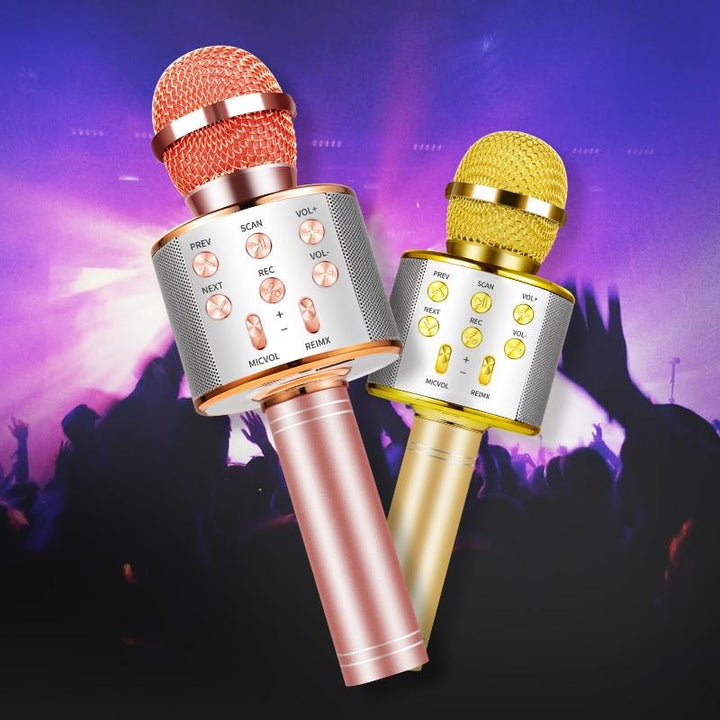 Nolae - Bluetooth Karaoke Mikrofon | Skanto