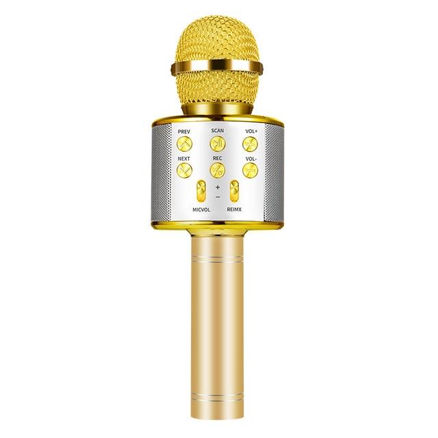 Nolae - Bluetooth Karaoke Mikrofon | Skanto