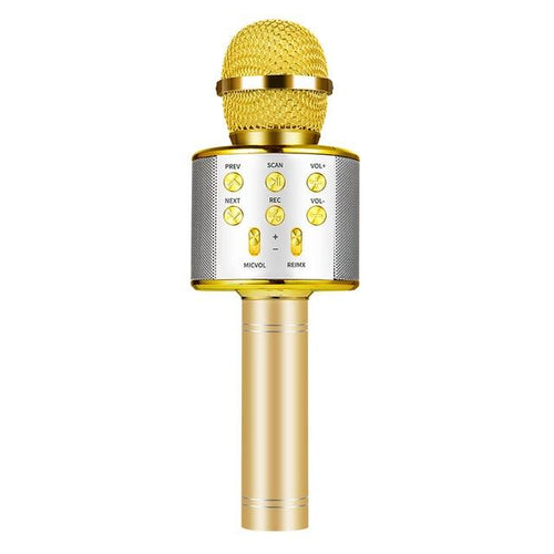 Nolae - Bluetooth Karaoke Mikrofon | Skanto