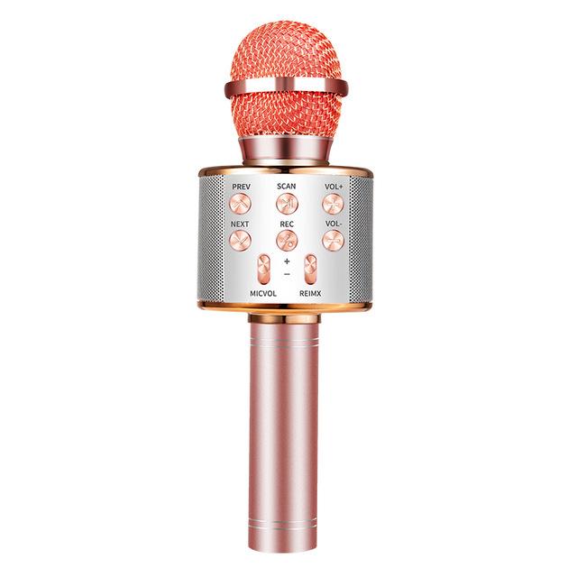 Nolae - Bluetooth Karaoke Mikrofon | Skanto