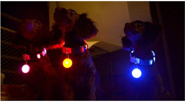 LED Flash Hundehalsbånd Pendant | Skanto