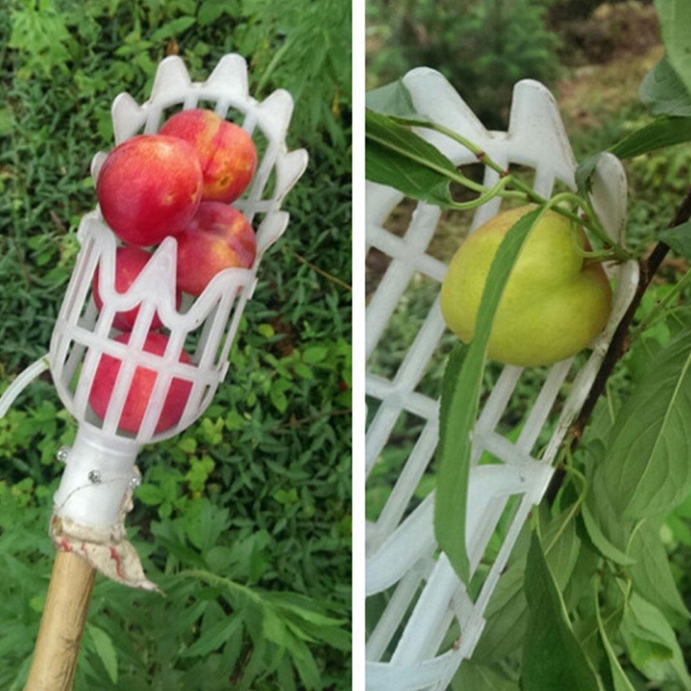Fruktplukker & Fangsthageverktøy | Skanto