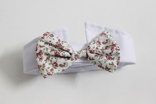 Dapper Pet Slips - For Katter & Hunder | Skanto