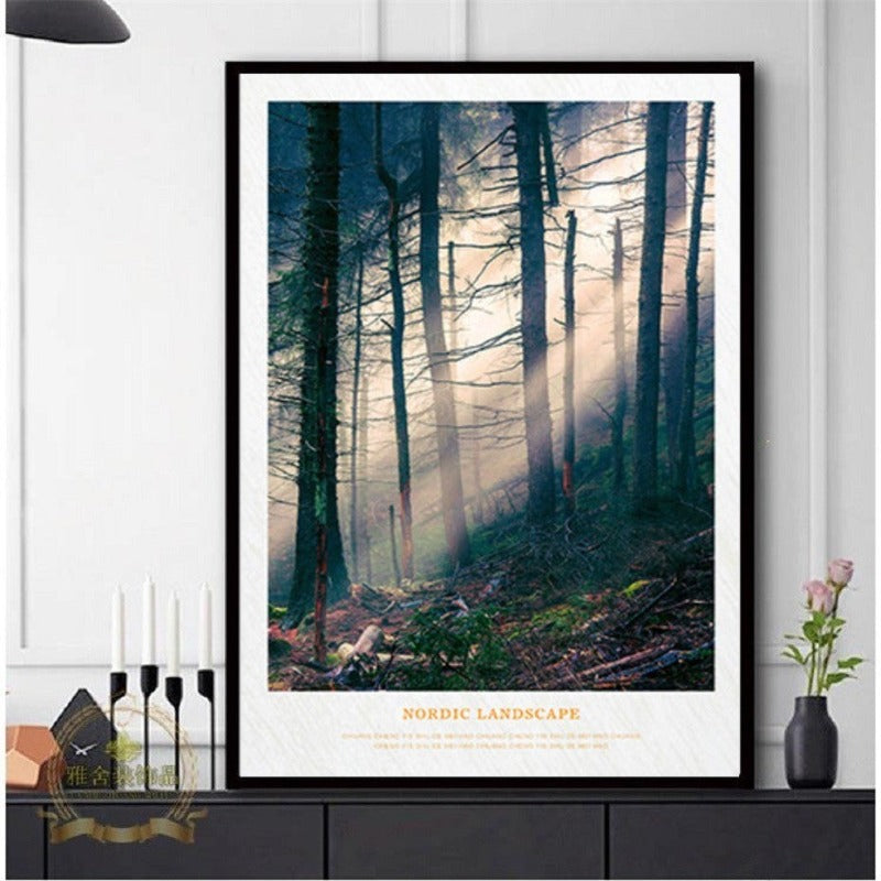 Nordic Skandinavia Natur Skog Solskinn Scene Trykk