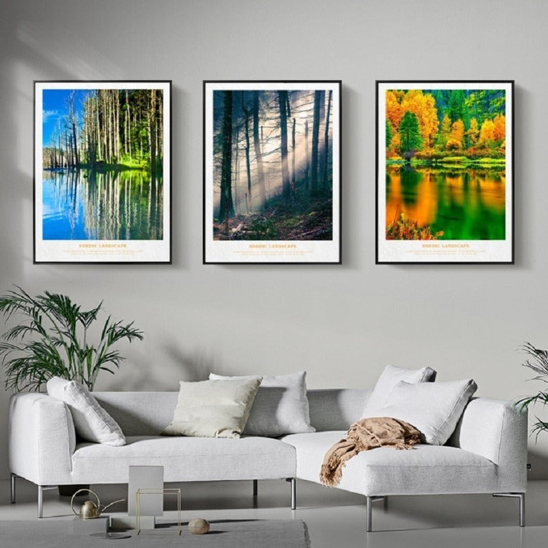Nordic Skandinavia Natur Skog Solskinn Scene Trykk