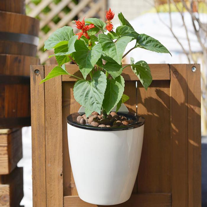 InstanWater - Selv vanning hengende planter | Skanto
