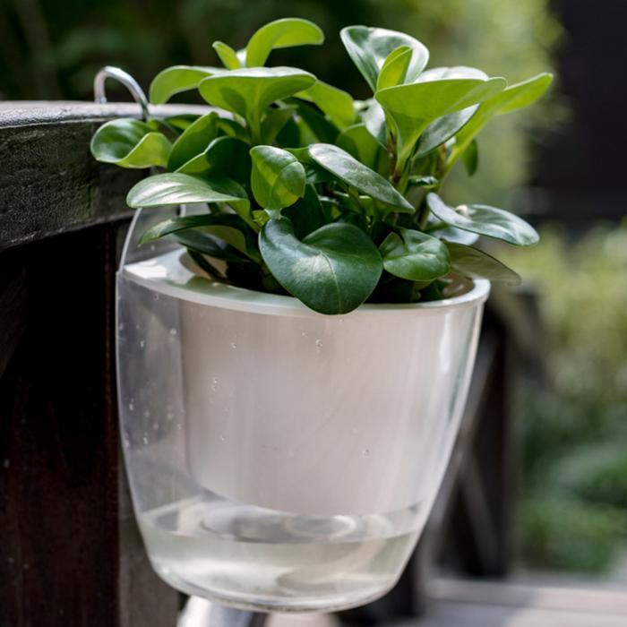 InstanWater - Selv vanning hengende planter | Skanto