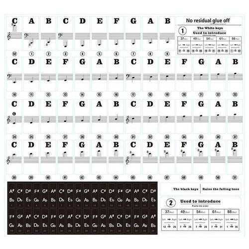 Skanto | Ultimate Piano Key Stickers