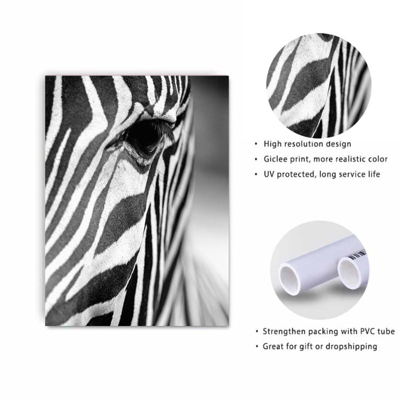 Afrikansk Zebra - Kanvas Veggkunst Maleri | Skanto