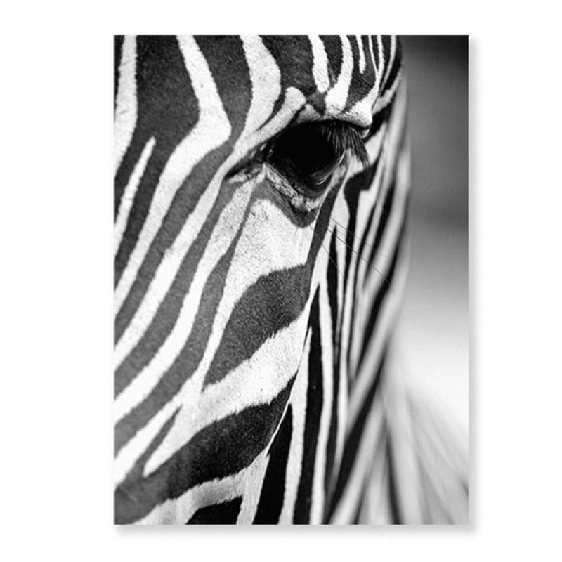 Afrikansk Zebra - Kanvas Veggkunst Maleri | Skanto