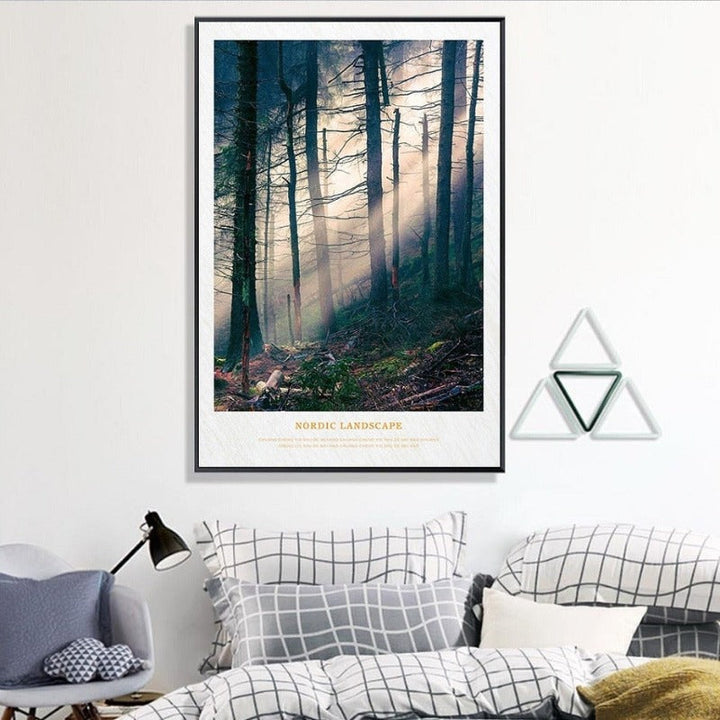 Nordic Skandinavia Natur Skog Solskinn Scene Trykk