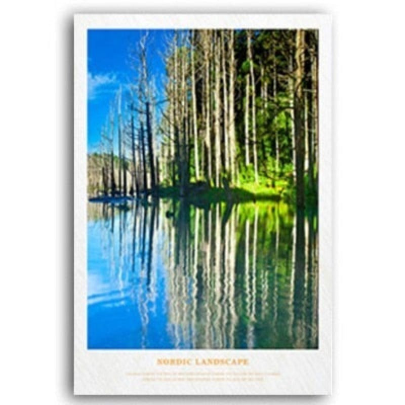 Nordic Skandinavia Natur Skog Solskinn Scene Trykk