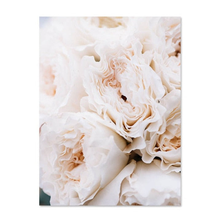 Blush Pink Pioner Veggkunst Bilder - Lerret Veggkunst Maleri | Skanto