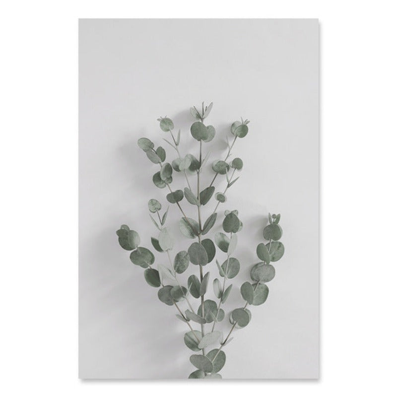 Botaniske Eukalyptusblader - Lærret Veggkunst Maleri | Skanto
