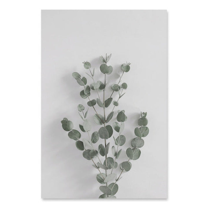 Botaniske Eukalyptusblader - Lærret Veggkunst Maleri | Skanto