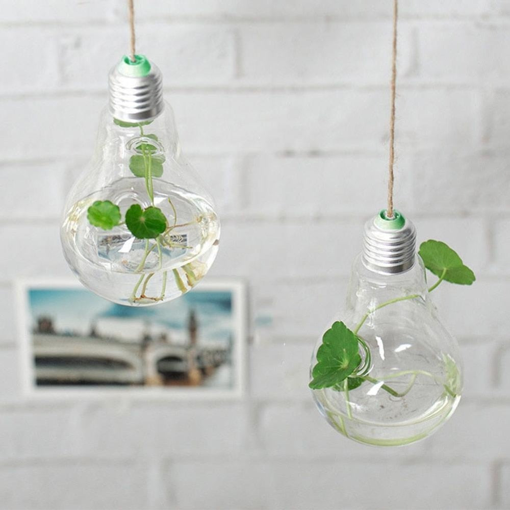 Skanto | Hengende Glass Lyspære Lampe Form Blomst Vannplante